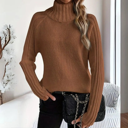 Dalton Women's Ribbed Knit Turtleneck Sweater Relaxed Fit Jumper