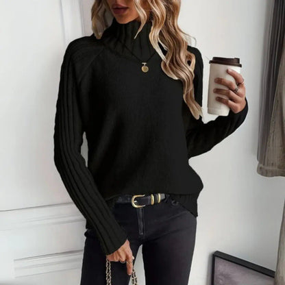 Dalton Women's Ribbed Knit Turtleneck Sweater Relaxed Fit Jumper